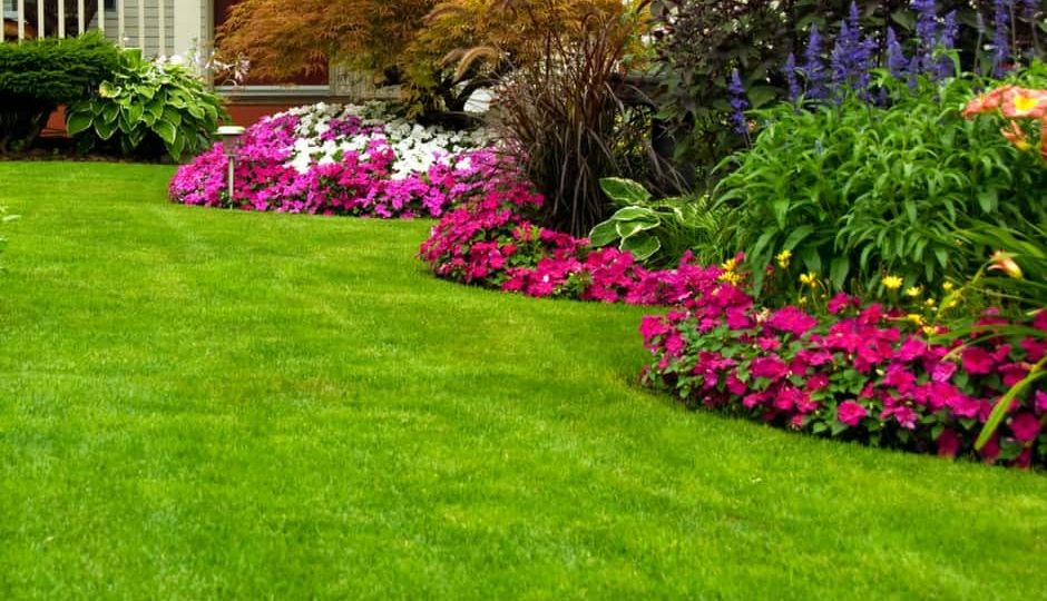 beautifully-manicured-lawn